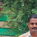 Profile picture of S. Vijay